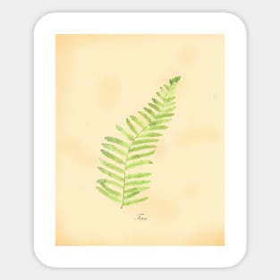 Fern, botanical watercolor painting Sticker